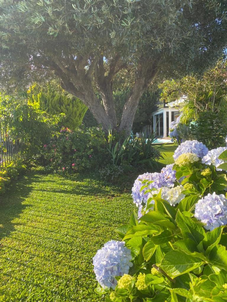Casa De Prazeres Villa Екстериор снимка